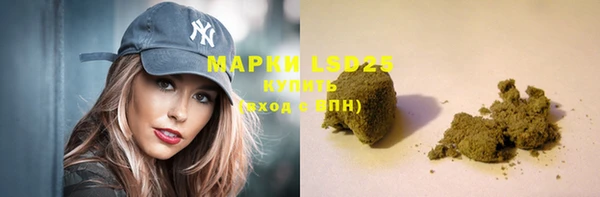 спайс Баксан