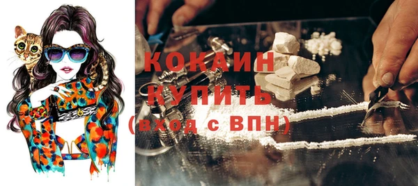 спайс Баксан