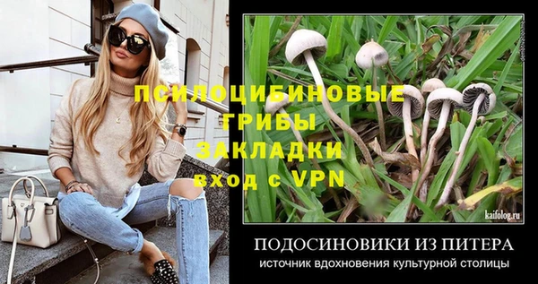 Альфа ПВП Беломорск