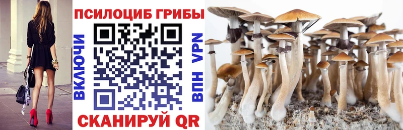 Псилоцибиновые грибы мицелий  Пятигорск 