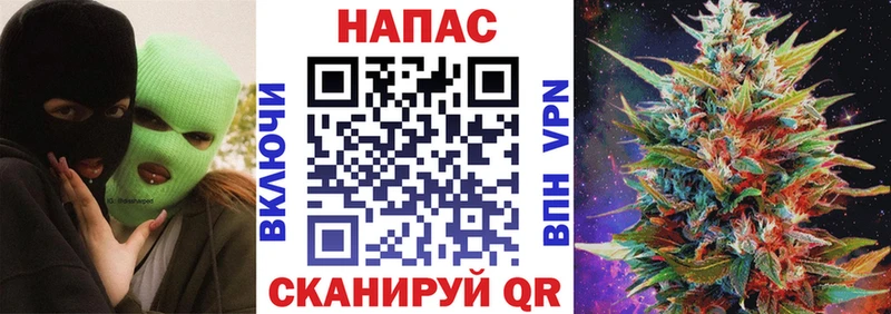 Конопля гибрид  Пятигорск 